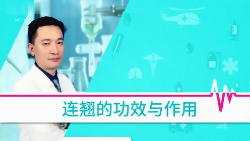 栽连翘赚钱吗