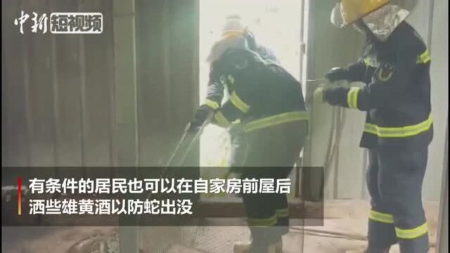 福建莆田:蟒蛇溜进村民家一口气偷吃6只鸭