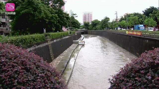 广电《龙岗新闻》张勇:水污染治理要打造精品工程 造福辖区百姓