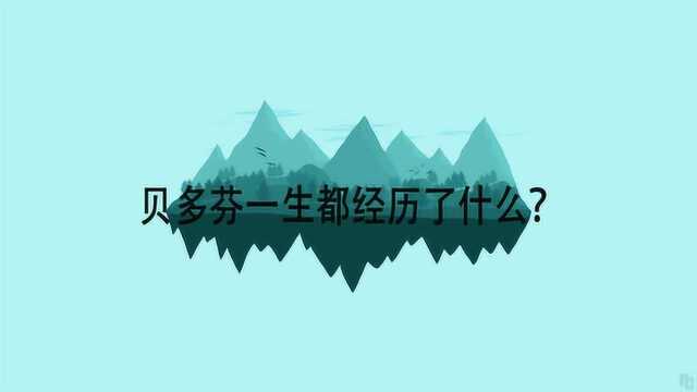 贝多芬一生都经历了什么?