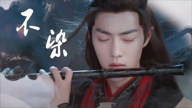 用《不染》打开《陈情令》肖战催泪回忆:一壶清酒,一身尘灰