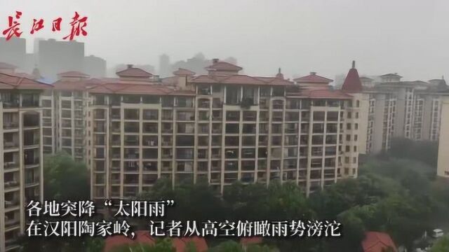 午后突降“太阳雨”,汉阳大雨滂沱,汉口雨细如丝