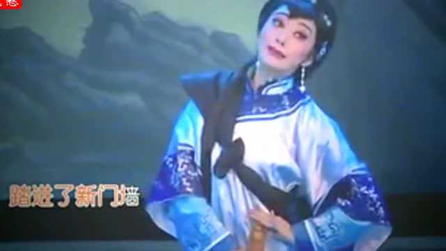 潮剧《典妻》选段 不知何处能永存 蚁燕丹、张树桐等演唱