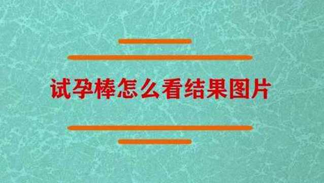 试孕棒怎么看结果的图片?