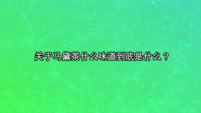 关于马黛茶什么味道到底是什么?