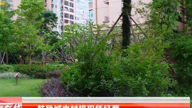 南宁市住房租赁试点 大量房源或将投入租赁市场