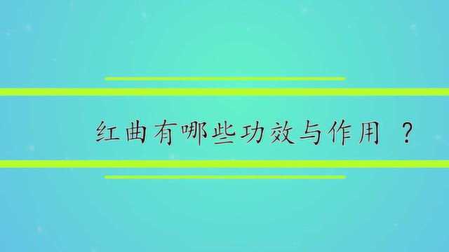 红曲有哪些功效与作用?