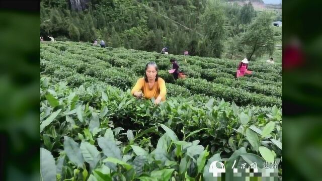 思南:扩大有效投资 推动跨越发展