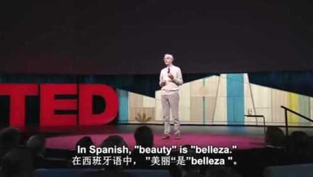 TED演讲:那些著名建筑背后的故事!