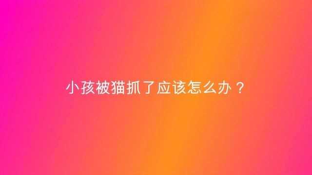 小孩被猫抓了应该怎么办?