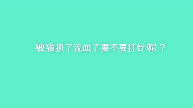 被猫抓了流血了要不要打针呢?