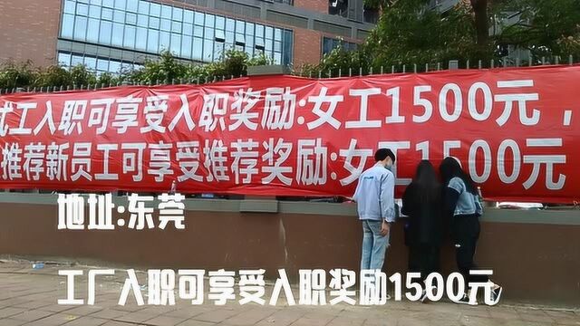 实拍东莞工厂入职可享受入职奖励1500元