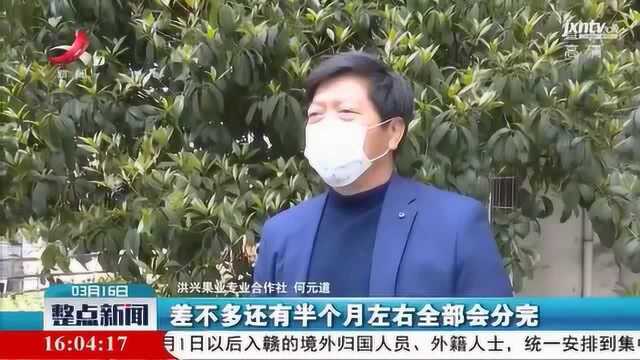 新余:做好春耕备耕农资供应 打通农资配送最后一公里