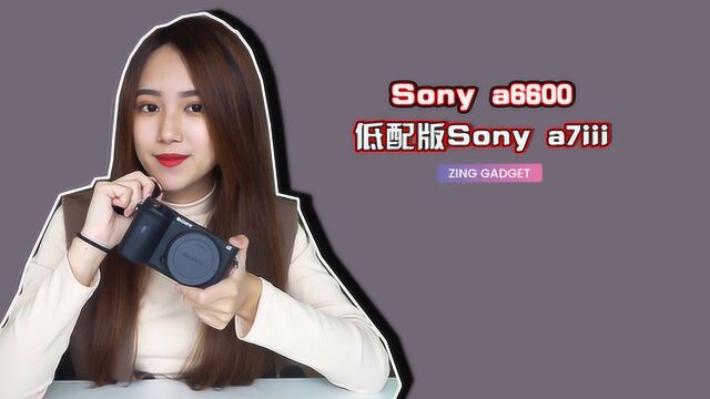 低配 a7iii ?Sony a6600 微单上手体验