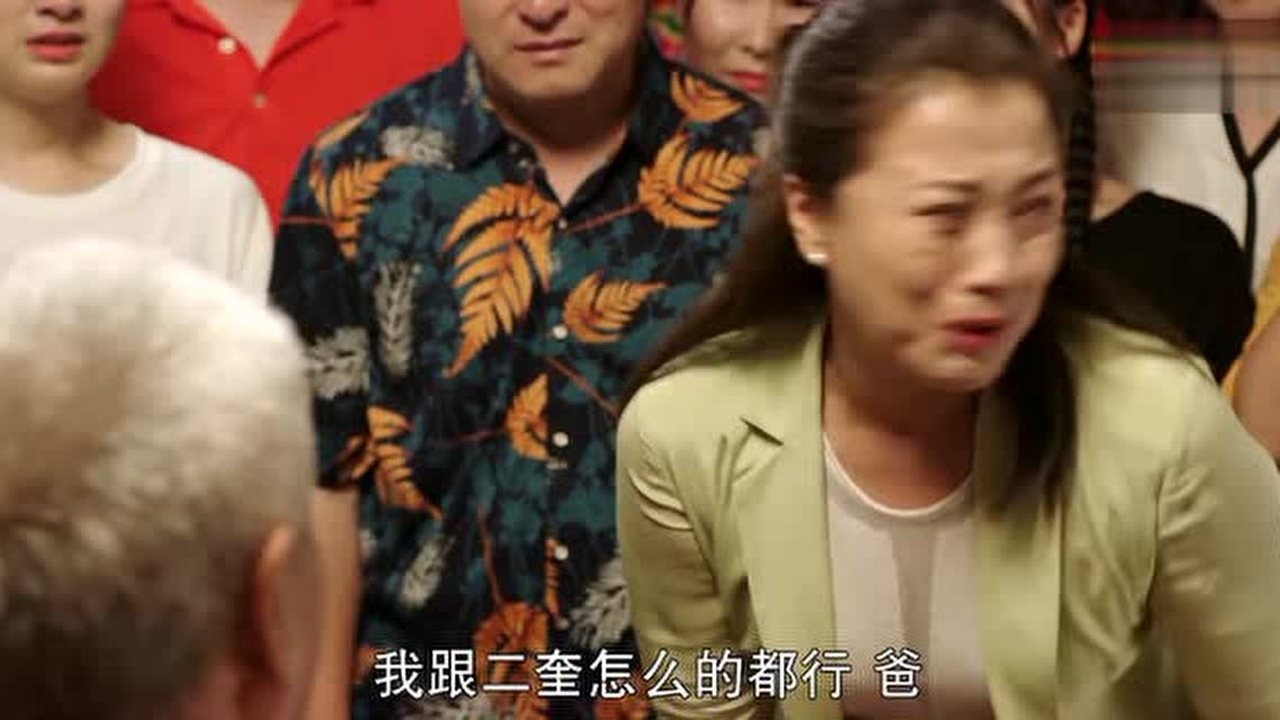 刘老根3刘老根患谵妄症药匣子帮老根回忆往昔刘老根瞬间清醒感动