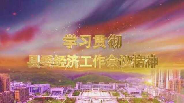 县委经济工作会议精神|关键词解读(十一) 谋项目争投资【视频】