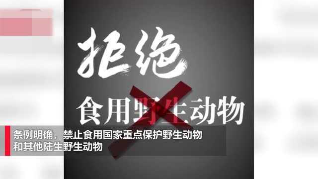 5月1日起广东省禁食所有人工繁育饲养野生动物