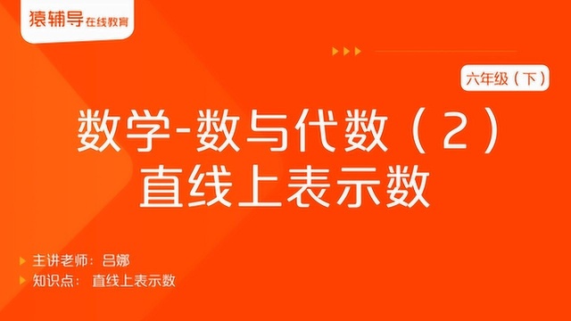 小学六年级(下)数学《数与代数(2):直线上表示数》