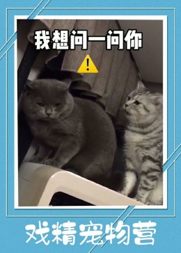我就想问你，你到底爱不爱我