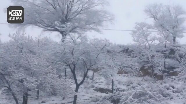 甘肃天水四月飞雪宛如仙境 网友:清明时节雪纷纷