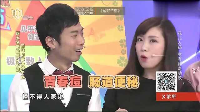 四大名菊傻傻分不清,专家现场来介绍:口味功效各有千秋