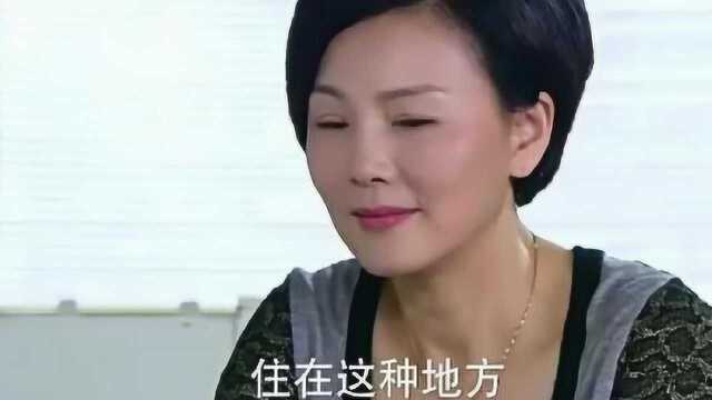 离婚的前儿媳挺着大肚子回来了,不料成为了公司的董事长