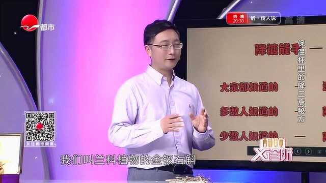 专家介绍石斛功效,滋阴清热还能养胃,最大用处就是降低血糖