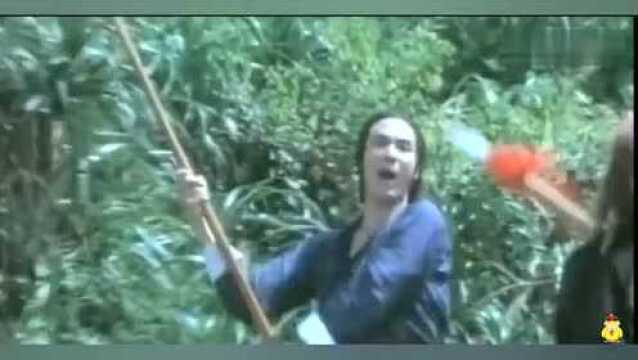 经典武打片《佛山赞先生》徐少强主演精彩武打