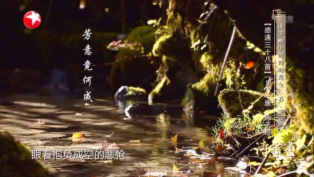 诗书画岁月尽摇落 芳意竟何成 无人自芳的幽兰 20190422