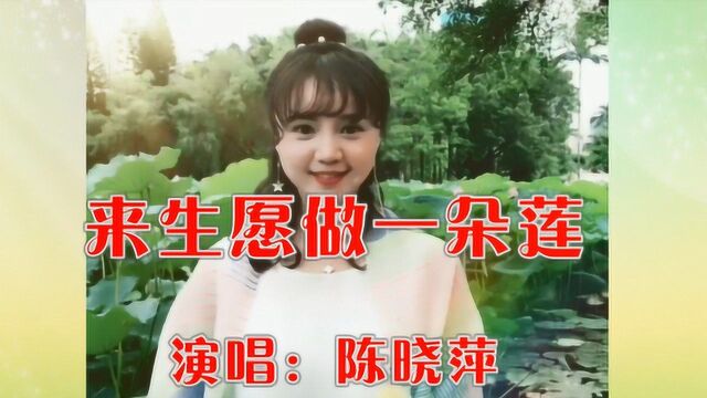 美女陈晓萍一首《来生愿做一朵莲》歌声宛若仙音,唱到心里去了!