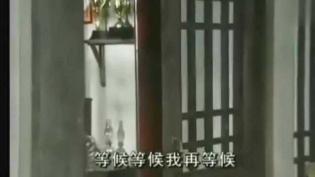 《木棉花的春天》佩芸的虐恋,背景音乐感人,据说当年导演跑出去偷哭!