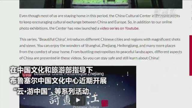 线上“游”中国 网上学中文——布鲁塞尔中国文化中心做好疫情下文化传播