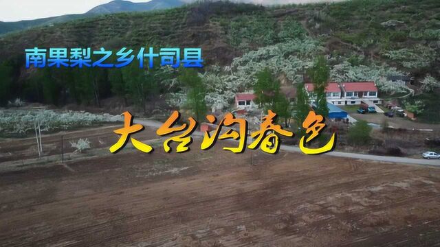 在希望的田野上,航拍南果梨之乡鞍山王石镇什司县乡大台沟村春色