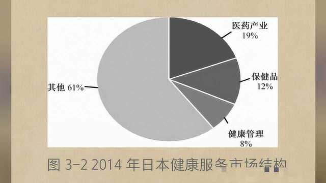 日本最重要的支撑产业之一:大健康产业