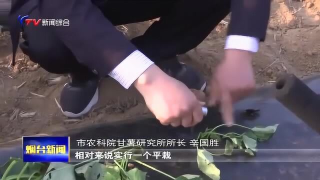 专家坚守一线,助力春耕生产