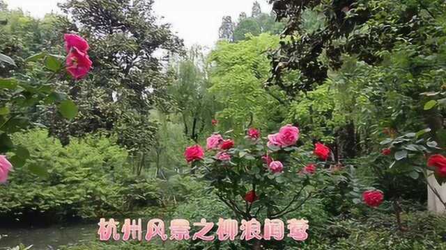 杭州风景之柳浪闻莺