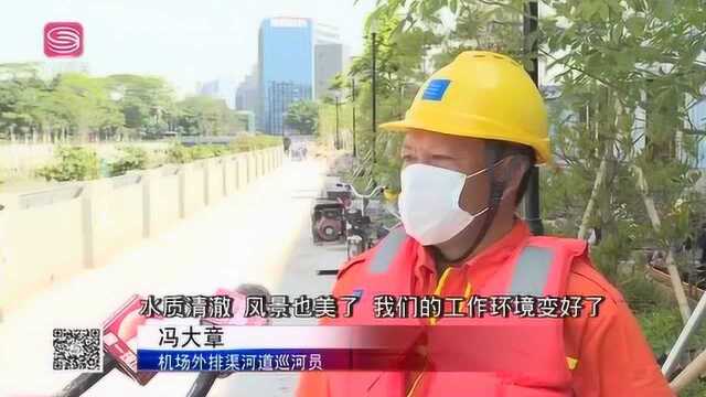 2020.5.6航城街道:水上清洁工 河道保清洁