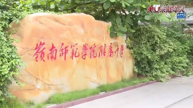 岭师附中建设未成年人思想道德教育主阵地为未成年人健康成长保驾护航