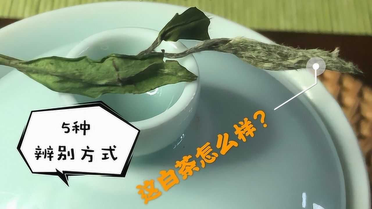 把白茶买回家后,我该如何辨别白茶好坏?5种辨别方式,轻松学会