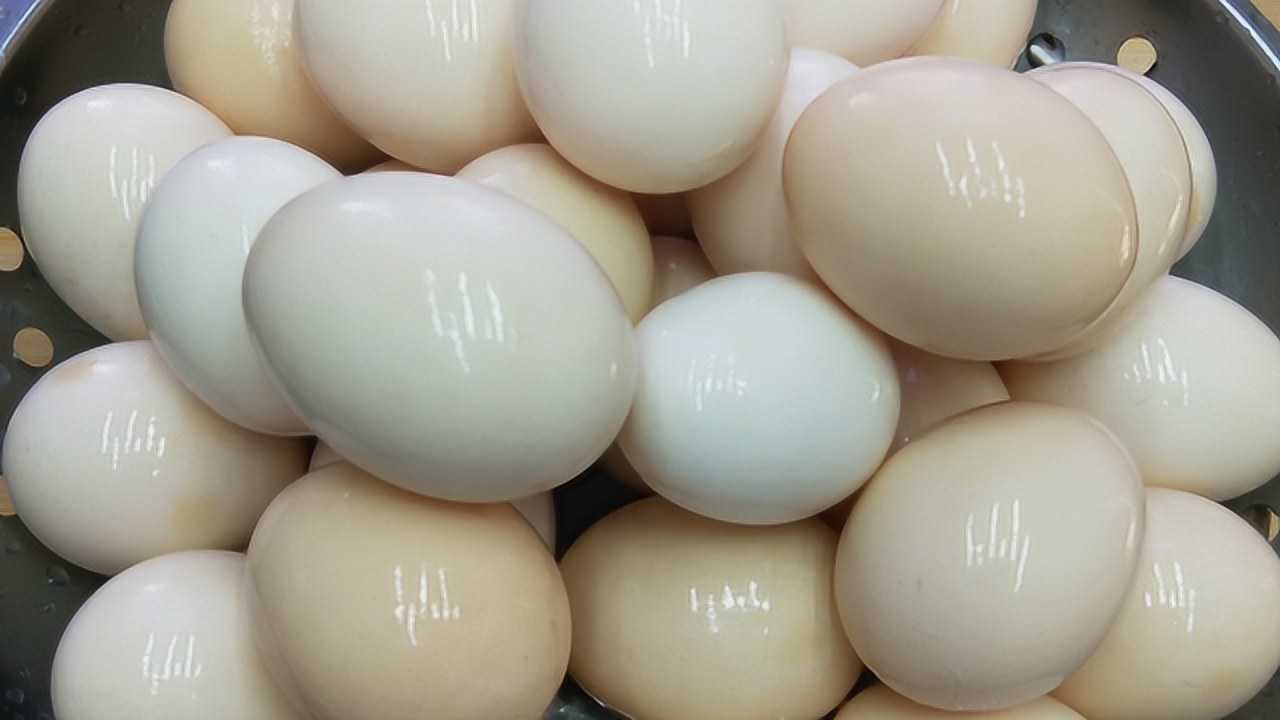 1280