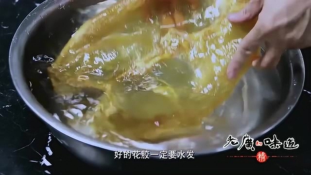 老广的味道:这一片又黄又硬的鱼肚真的能成为一碟美味吗?