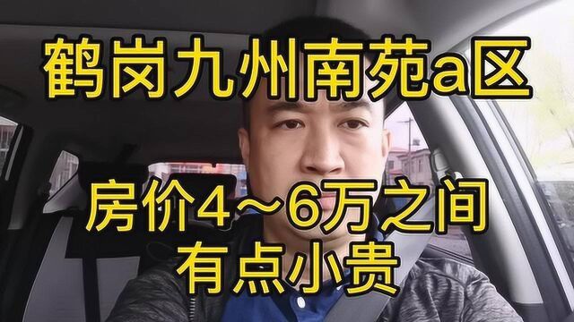 探鹤岗房价系列(六)看鹤岗九州小区5万能买多大的房子