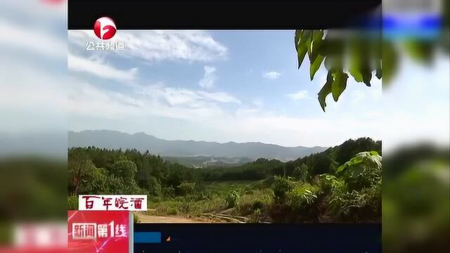 黄山:融合农旅 打造名片