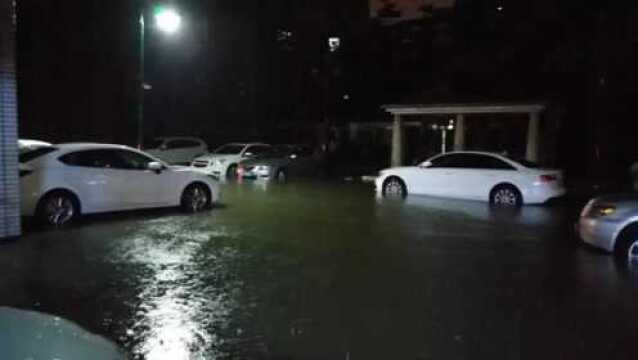 广州再遭暴雨突袭,广汽本田工厂再度被淹,新车全成泡水车