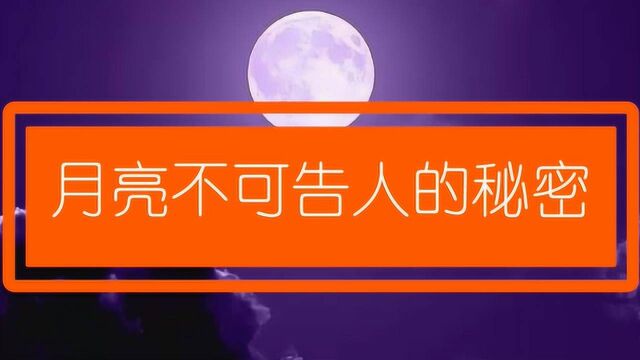 皓白当空的月亮会不会隐藏一些我们所不知道的秘密