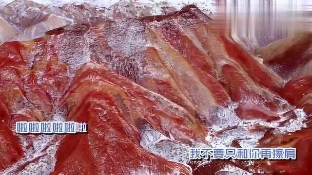 谢雨岑 杨琨《十分波动》MV饭制版