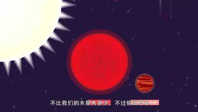 宇宙中的最后一颗星红矮星