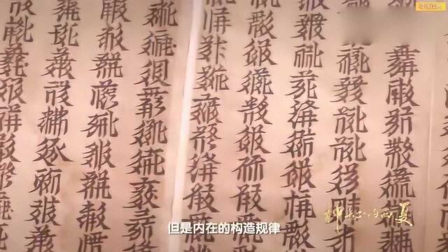 历史考古:在俄罗斯的文献《文海》中,发现有5000多个西夏文字