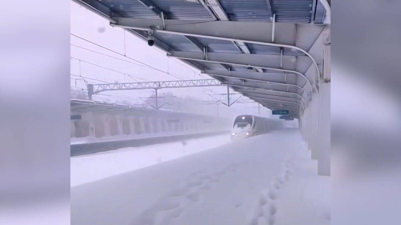 冻雨、暴雪致多趟列车停运!12306回应部分列车停运