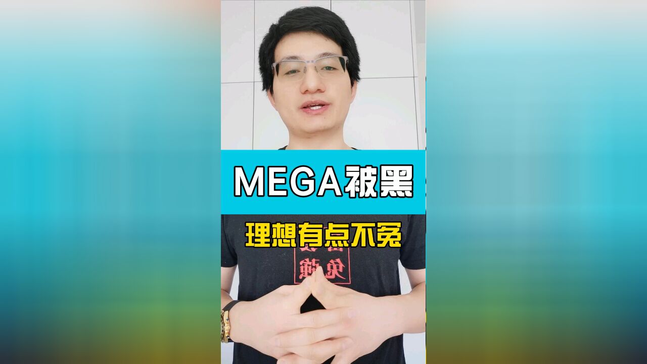 MEGA被黑,理想有点不冤